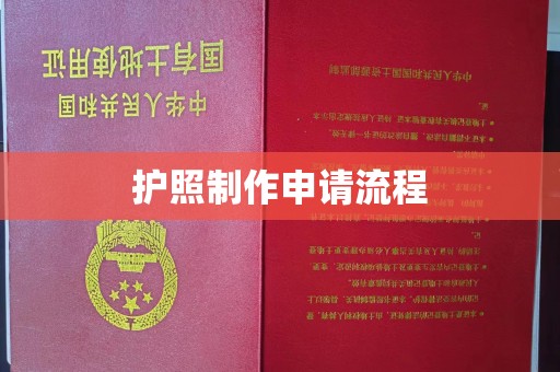 肥城护照制作申请流程